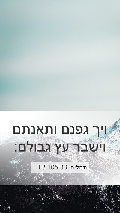 תהלים 105:33 HEB Mobile Phone Wallpaper - ויך גפנם ותאנתם וישבר עץ - Mobile Bible Verse Wallpaper