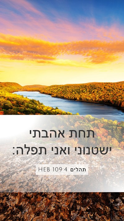 תהלים 109:4 HEB Bible Verse Image