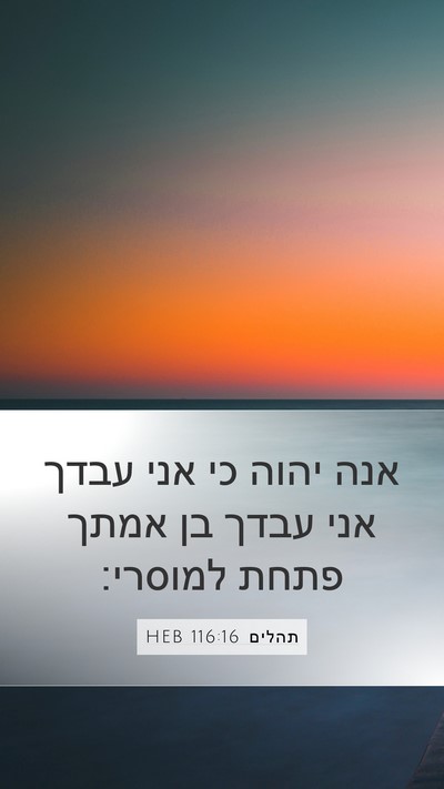 תהלים 116:16 HEB Bible Verse Image