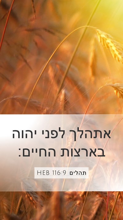 תהלים 116:9 HEB Bible Verse Image