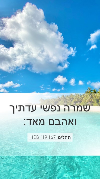 תהלים 119:167 HEB Mobile Phone Wallpaper - שמרה נפשי עדתיך ואהבם - Mobile Bible Verse Wallpaper