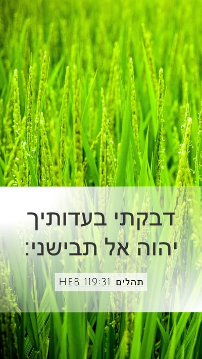 תהלים 119:31 HEB Bible Verse Image