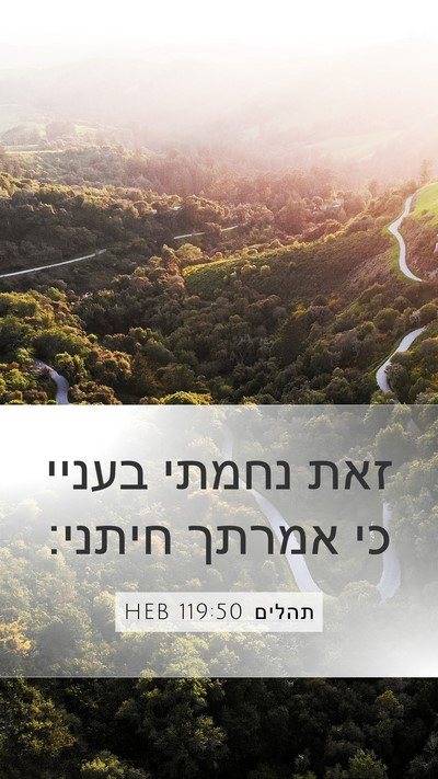 תהלים 119:50 HEB Mobile Phone Wallpaper - זאת נחמתי בעניי כי אמרתך - Mobile Bible Verse Wallpaper