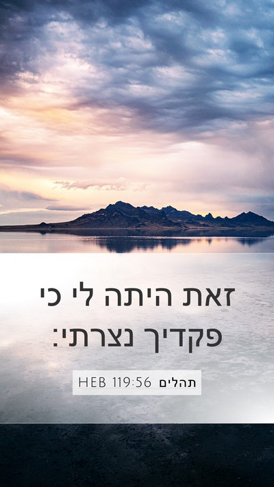 תהלים 119:56 HEB Mobile Phone Wallpaper - זאת היתה לי כי פקדיך - Mobile Bible Verse Wallpaper