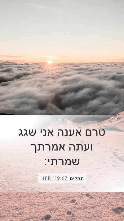 תהלים 119:67 HEB Bible Verse Image