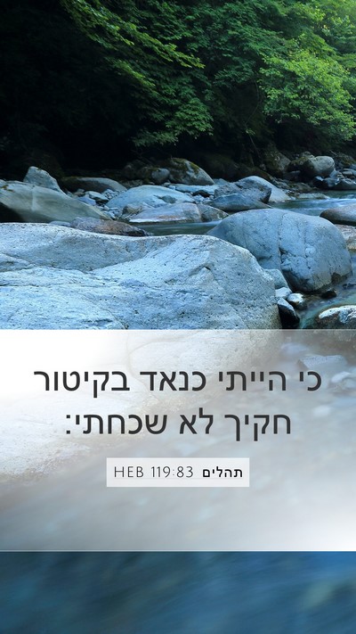 תהלים 119:83 HEB Bible Verse Image