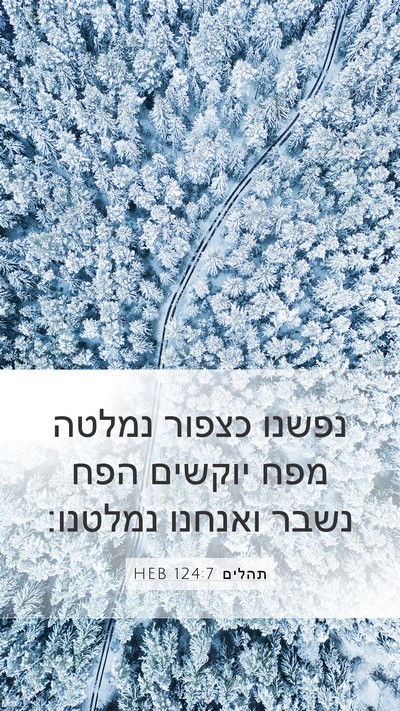 תהלים 124:7 HEB Bible Verse Image