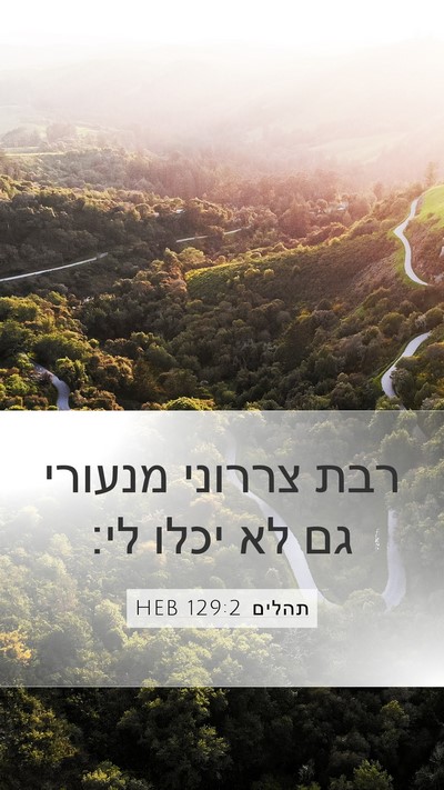 תהלים 129:2 HEB Bible Verse Image