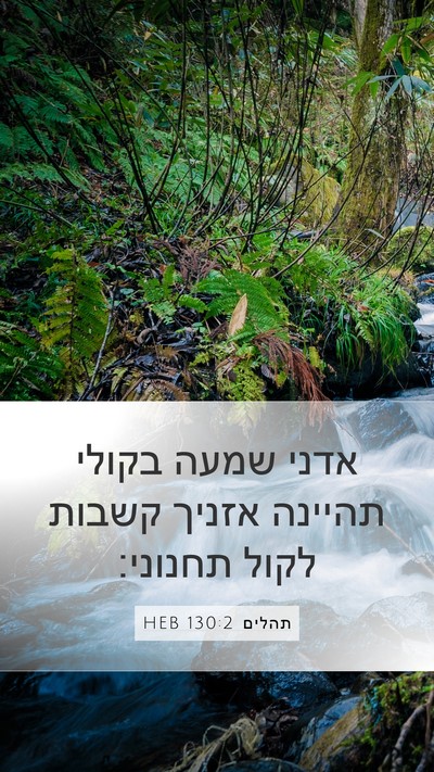 תהלים 130:2 HEB Bible Verse Image