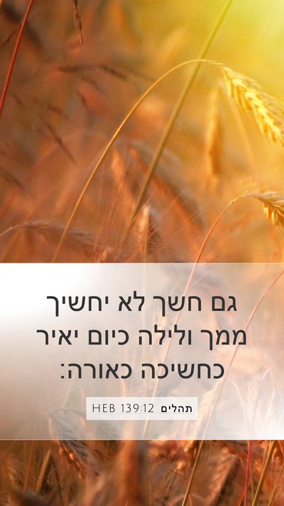 תהלים 139:12 HEB Mobile Phone Wallpaper - גם חשך לא יחשיך ממך ולילה - Mobile Bible Verse Wallpaper