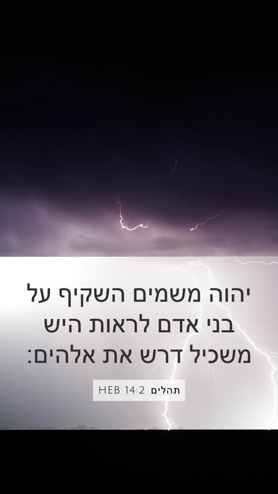 תהלים 14:2 HEB Bible Verse Image