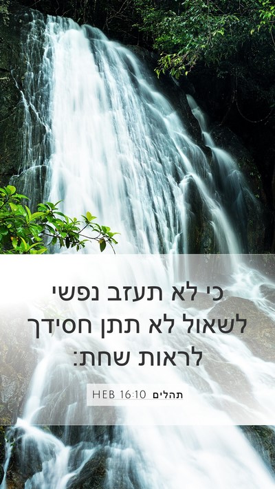 תהלים 16:10 HEB Bible Verse Image