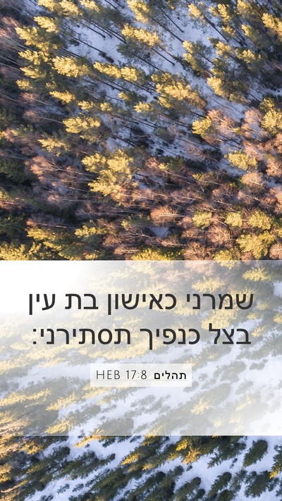 תהלים 17:8 HEB Bible Verse Image