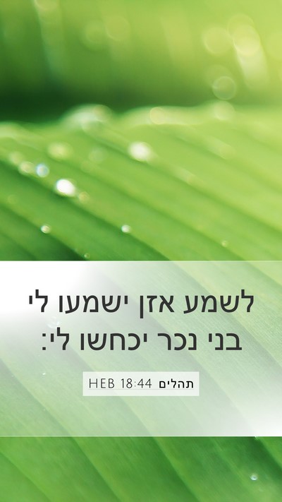 תהלים 18:44 HEB Bible Verse Image