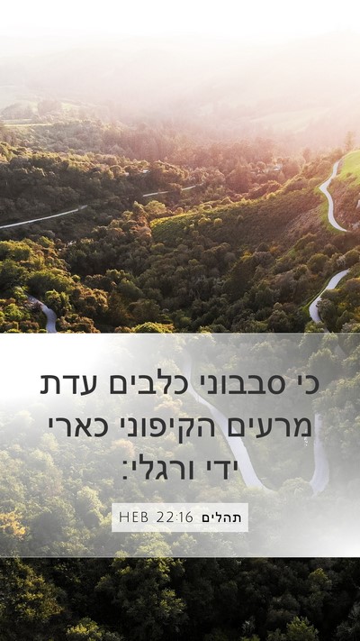 תהלים 22:16 HEB Bible Verse Image