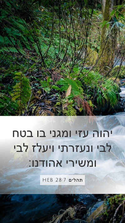 תהלים 28:7 HEB Bible Verse Image