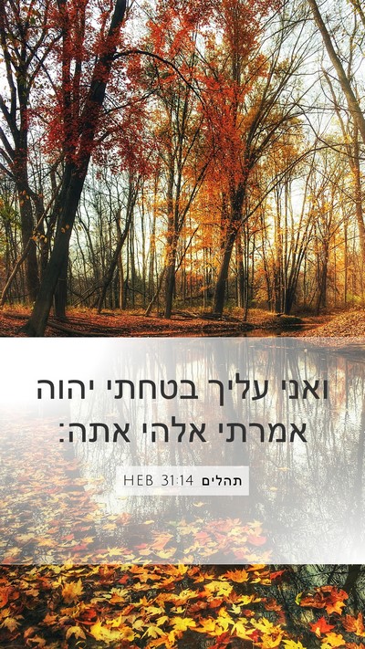תהלים 31:14 HEB Bible Verse Image