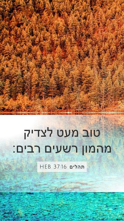 תהלים 37:16 HEB Bible Verse Image