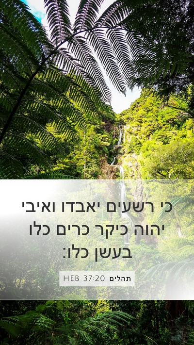 תהלים 37:20 HEB Bible Verse Image