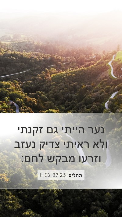 תהלים 37:25 HEB Bible Verse Image