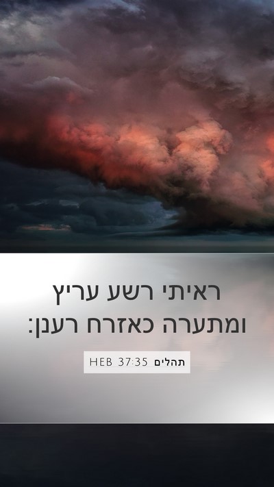 תהלים 37:35 HEB Bible Verse Image