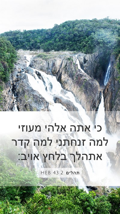 תהלים 43:2 HEB Bible Verse Image