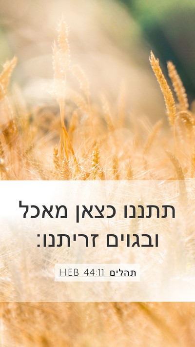 תהלים 44:11 HEB Bible Verse Image