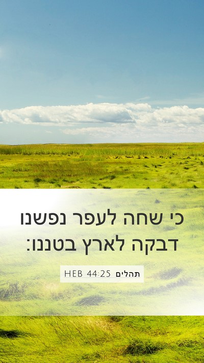 תהלים 44:25 HEB Mobile Phone Wallpaper - כי שחה לעפר נפשנו דבקה לארץ - Mobile Bible Verse Wallpaper