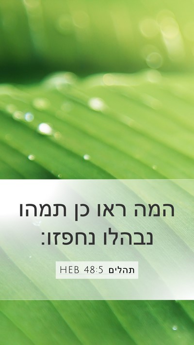 תהלים 48:5 HEB Bible Verse Image
