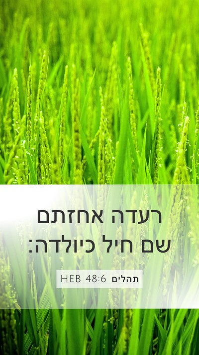 תהלים 48:6 HEB Bible Verse Image
