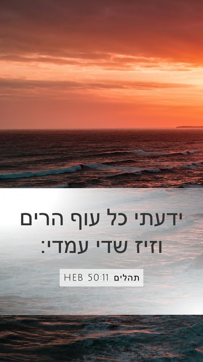 תהלים 50:11 HEB Mobile Phone Wallpaper - ידעתי כל עוף הרים וזיז שדי - Mobile Bible Verse Wallpaper