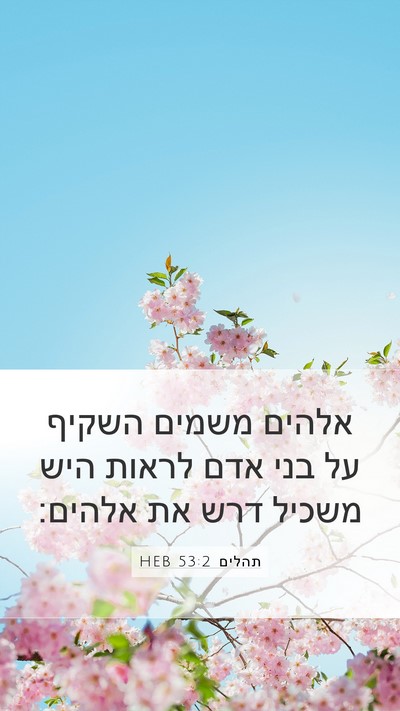 תהלים 53:2 HEB Bible Verse Image