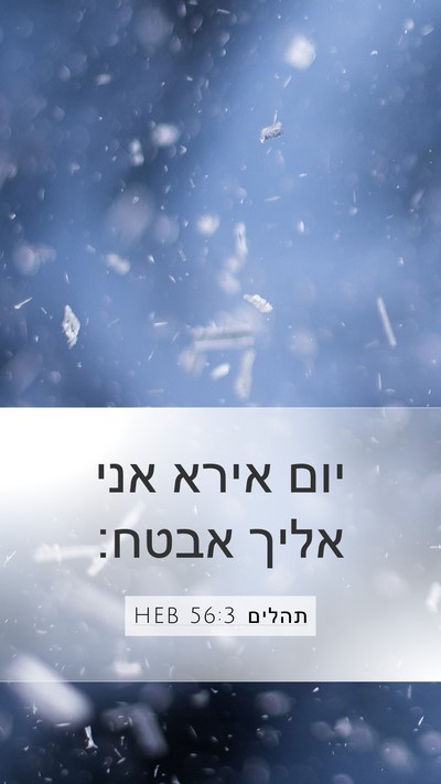 תהלים 56:3 HEB Bible Verse Image