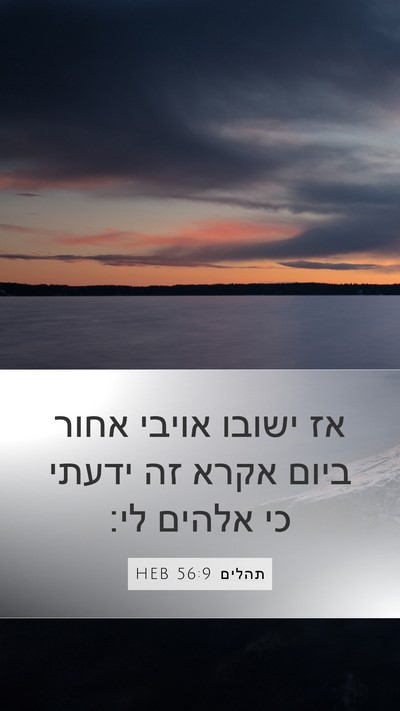 תהלים 56:9 HEB Bible Verse Image
