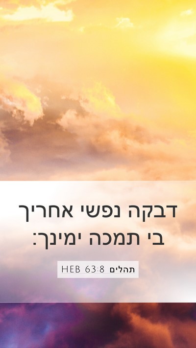 תהלים 63:8 HEB Bible Verse Image