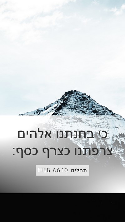 תהלים 66:10 HEB Bible Verse Image