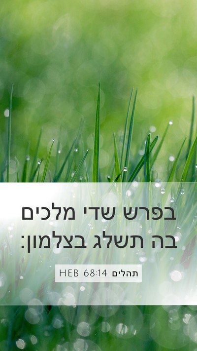 תהלים 68:14 HEB Bible Verse Image
