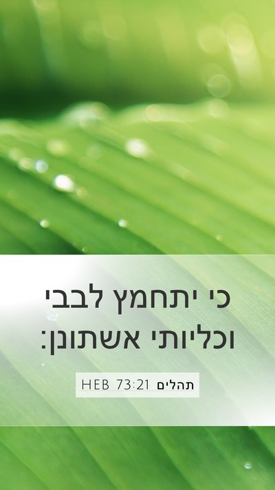 תהלים 73:21 HEB Mobile Phone Wallpaper - כי יתחמץ לבבי וכליותי - Mobile Bible Verse Wallpaper