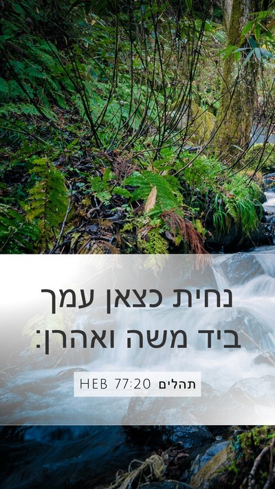 תהלים 77:20 HEB Bible Verse Image
