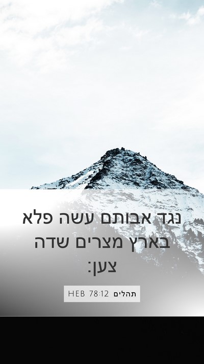 תהלים 78:12 HEB Bible Verse Image