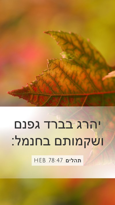 תהלים 78:47 HEB Bible Verse Image