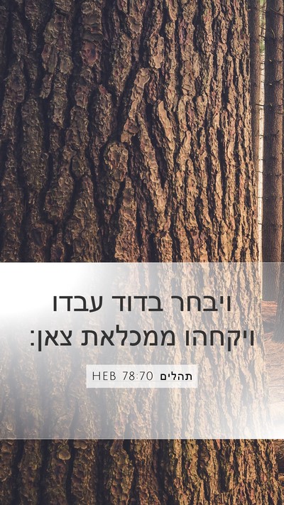 תהלים 78:70 HEB Bible Verse Image