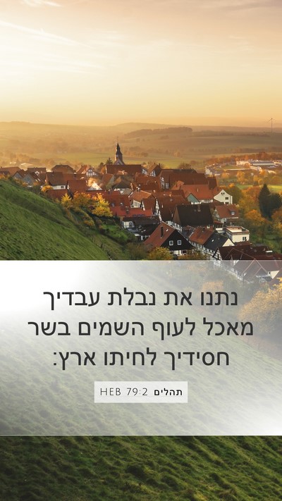 תהלים 79:2 HEB Mobile Phone Wallpaper - נתנו את נבלת עבדיך מאכל - Mobile Bible Verse Wallpaper