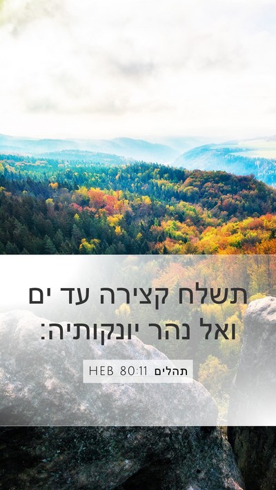 תהלים 80:11 HEB Bible Verse Image