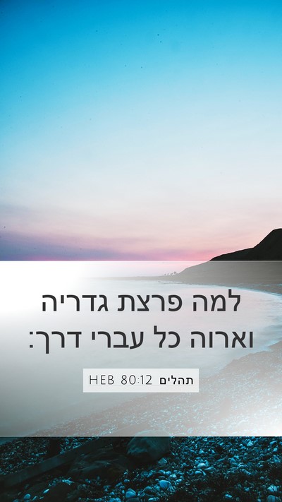 תהלים 80:12 HEB Mobile Phone Wallpaper - למה פרצת גדריה וארוה כל - Mobile Bible Verse Wallpaper