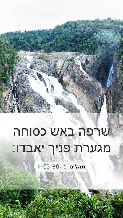 תהלים 80:16 HEB Bible Verse Image