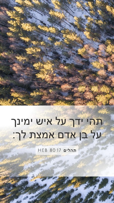 תהלים 80:17 HEB Bible Verse Image