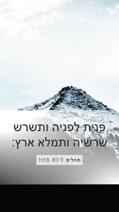 תהלים 80:9 HEB Bible Verse Image