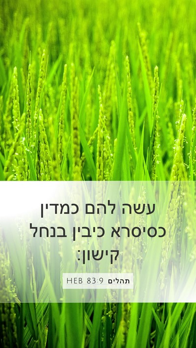 תהלים 83:9 HEB Bible Verse Image