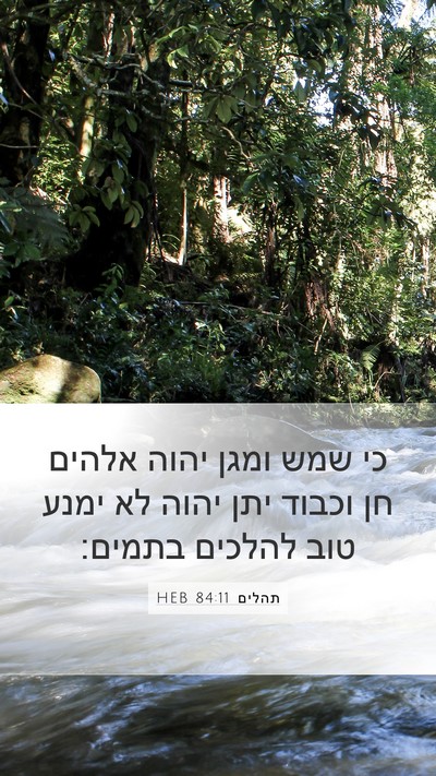 תהלים 84:11 HEB Bible Verse Image